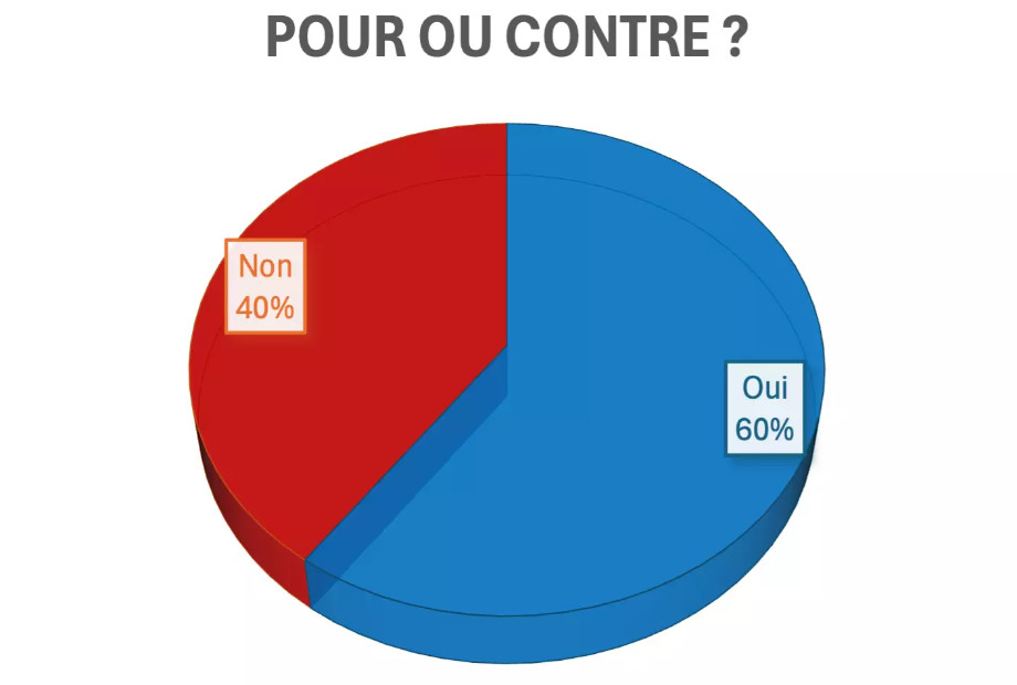 Doit On Changer Le Mode D Lection Des D Put S La French Radio Hong