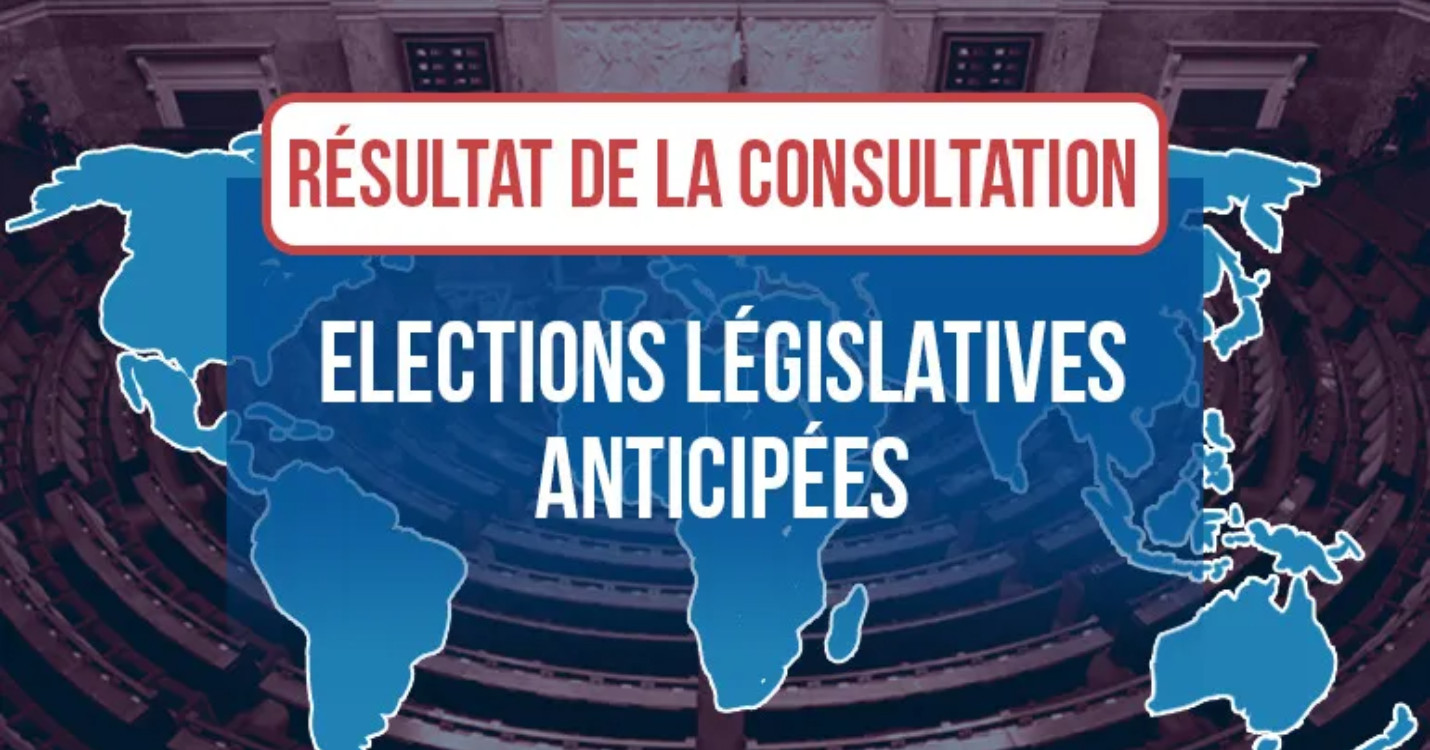 Consultations : pour qui les Français de l’étranger vont voter aux Législatives ?