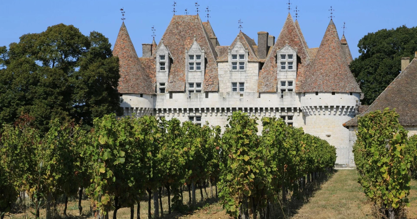 9 châteaux bordelais, propriétés d’un homme d’affaires chinois saisis, exposition de Gérard Henry