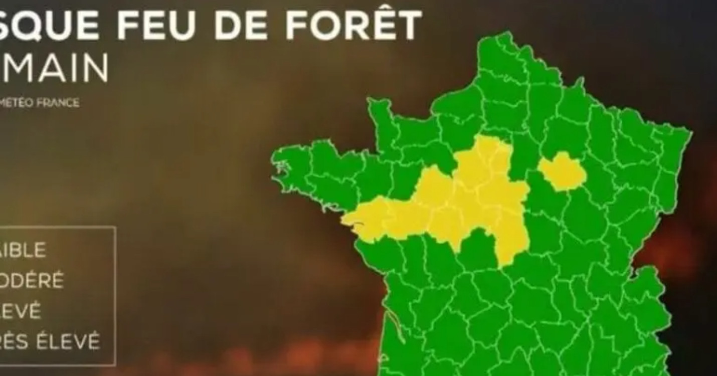 Voyage en France cet été ? Pensez à consulter la météo des forêts