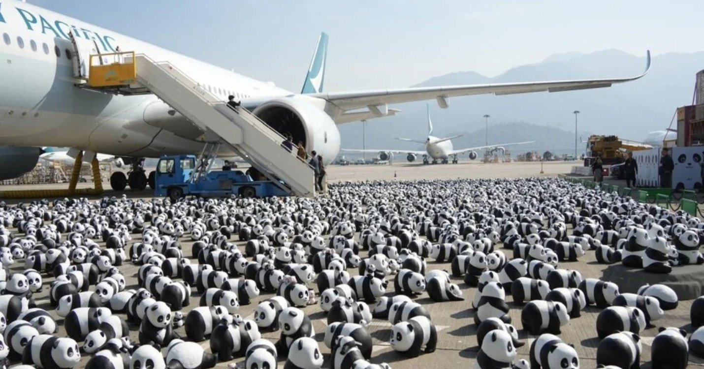 Un festival de pandas à Hong Kong  – La Galerie Paris 1839 – Inverse / Tension ll